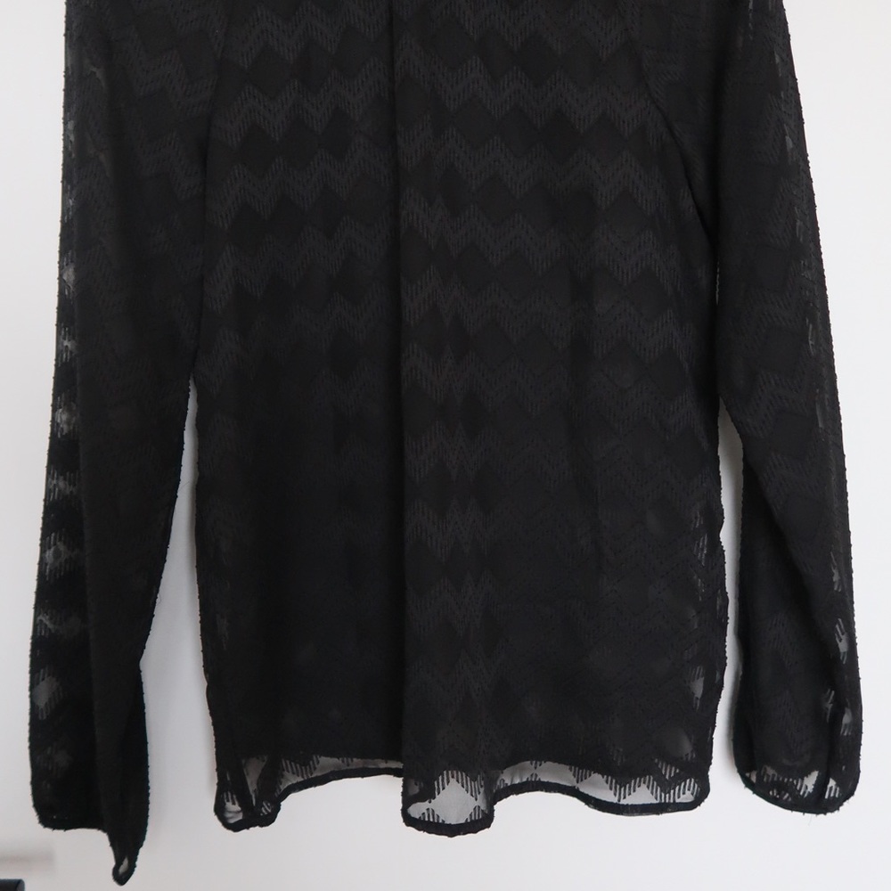Sheer Mesh Turtle Neck Blouse - Picture 2 of 4